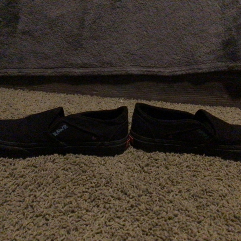 Custom vans - Picture 3 of 6